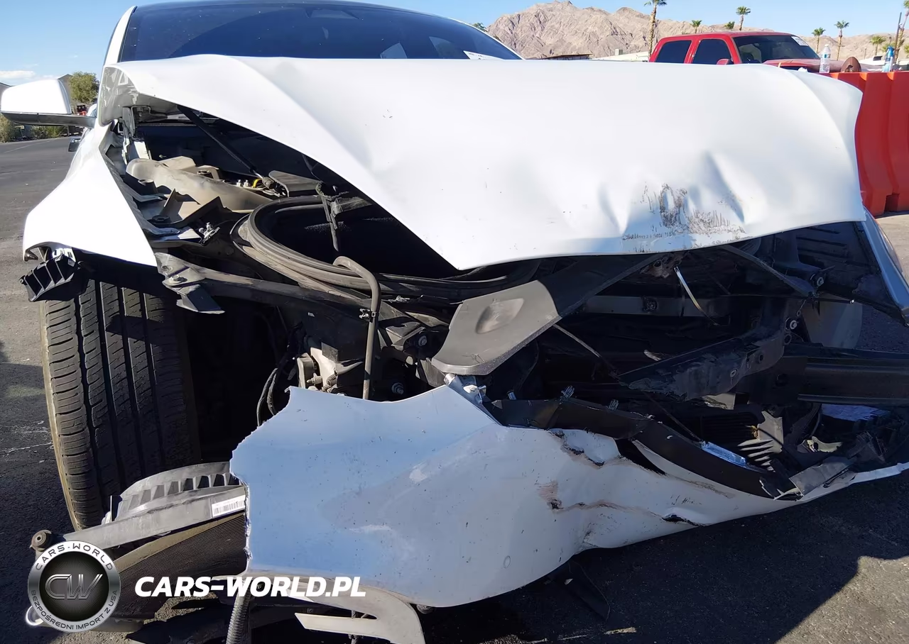 2020 Tesla Model S Performance Dual Motor All-Wheel Drive VIN:5YJSA1E45LF364685 - 19