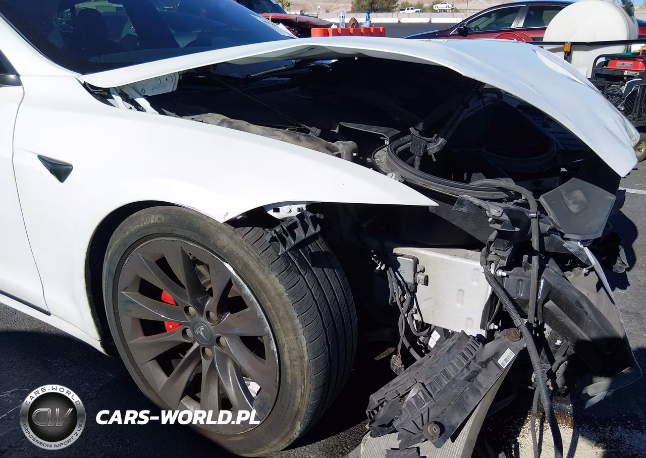 2020 Tesla Model S Performance Dual Motor All-Wheel Drive VIN:5YJSA1E45LF364685 - 20
