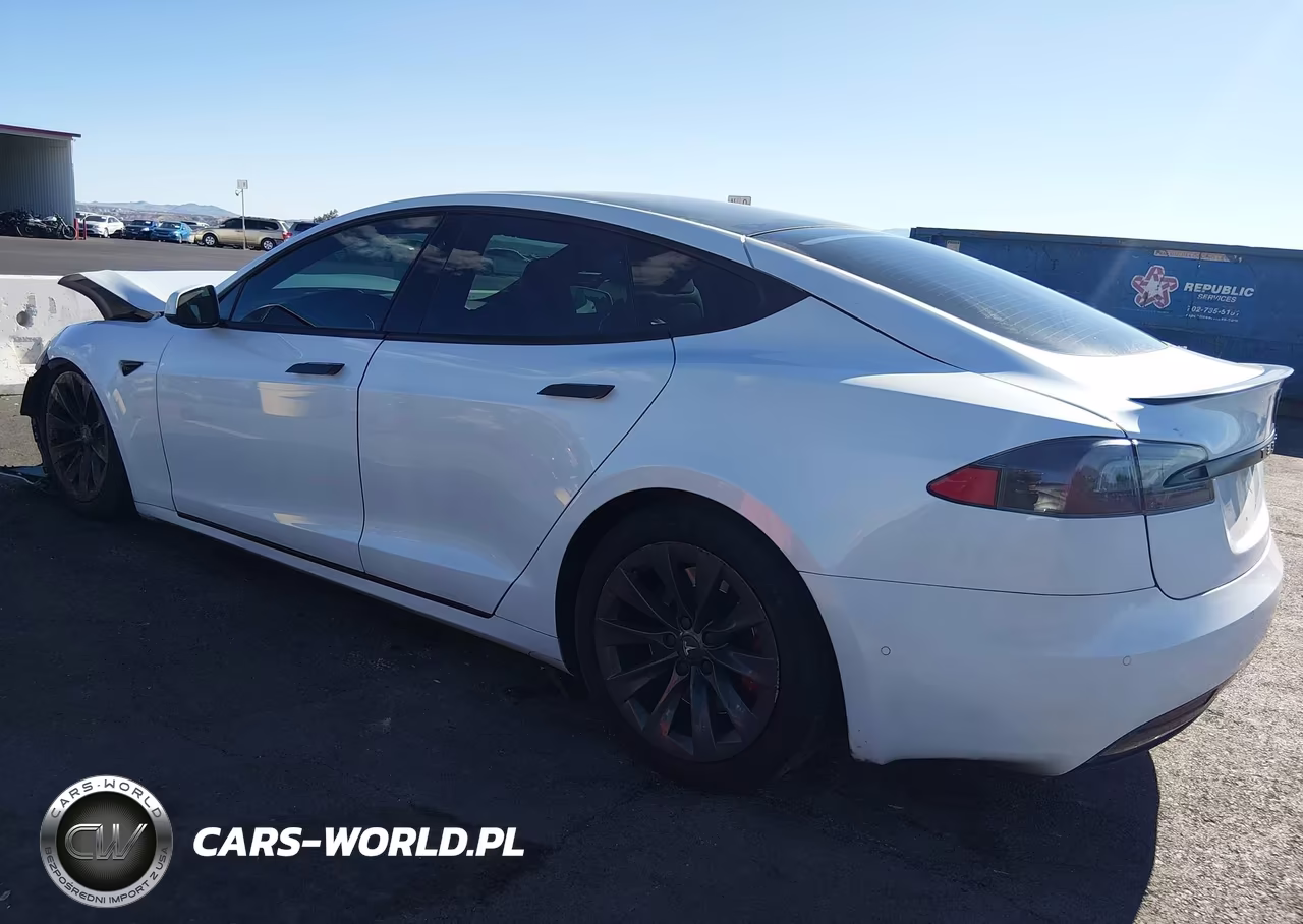 2020 Tesla Model S Performance Dual Motor All-Wheel Drive VIN:5YJSA1E45LF364685 - 3