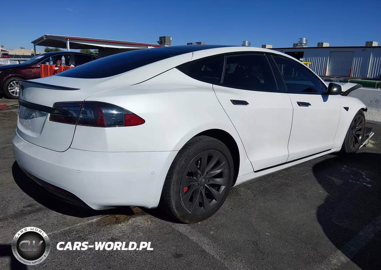 2020 Tesla Model S Performance Dual Motor All-Wheel Drive VIN:5YJSA1E45LF364685 - 4