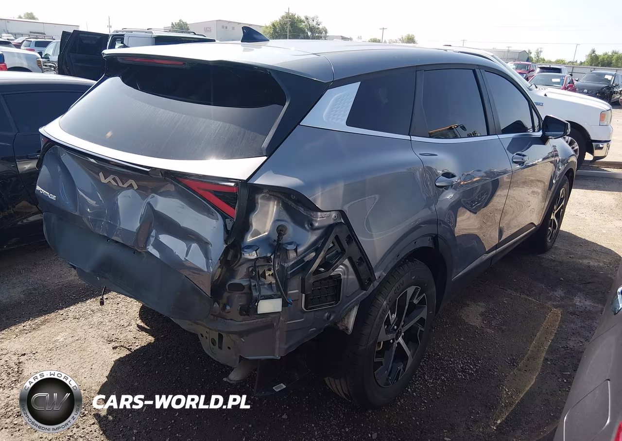 2024 Kia Sportage Ex VIN:5XYK33DF8RG141017 - 4