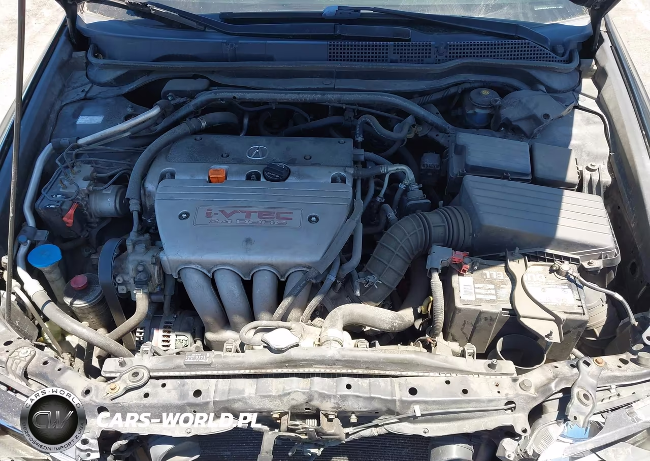 2006 Acura Tsx VIN:JH4CL96906C014503 - 10