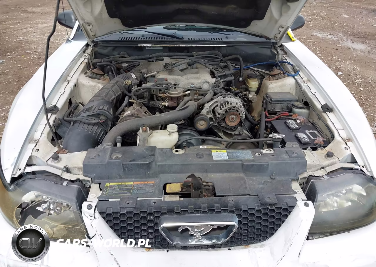 2001 Ford Mustang VIN:1FAFP40441F229317 - 10