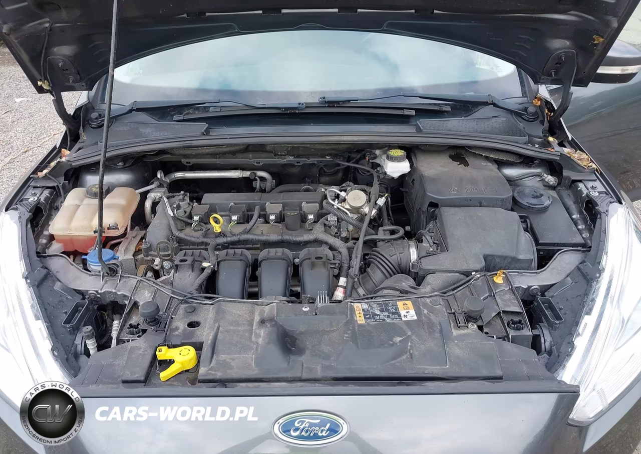2018 Ford Focus Titanium VIN:1FADP3N29JL306404 - 10