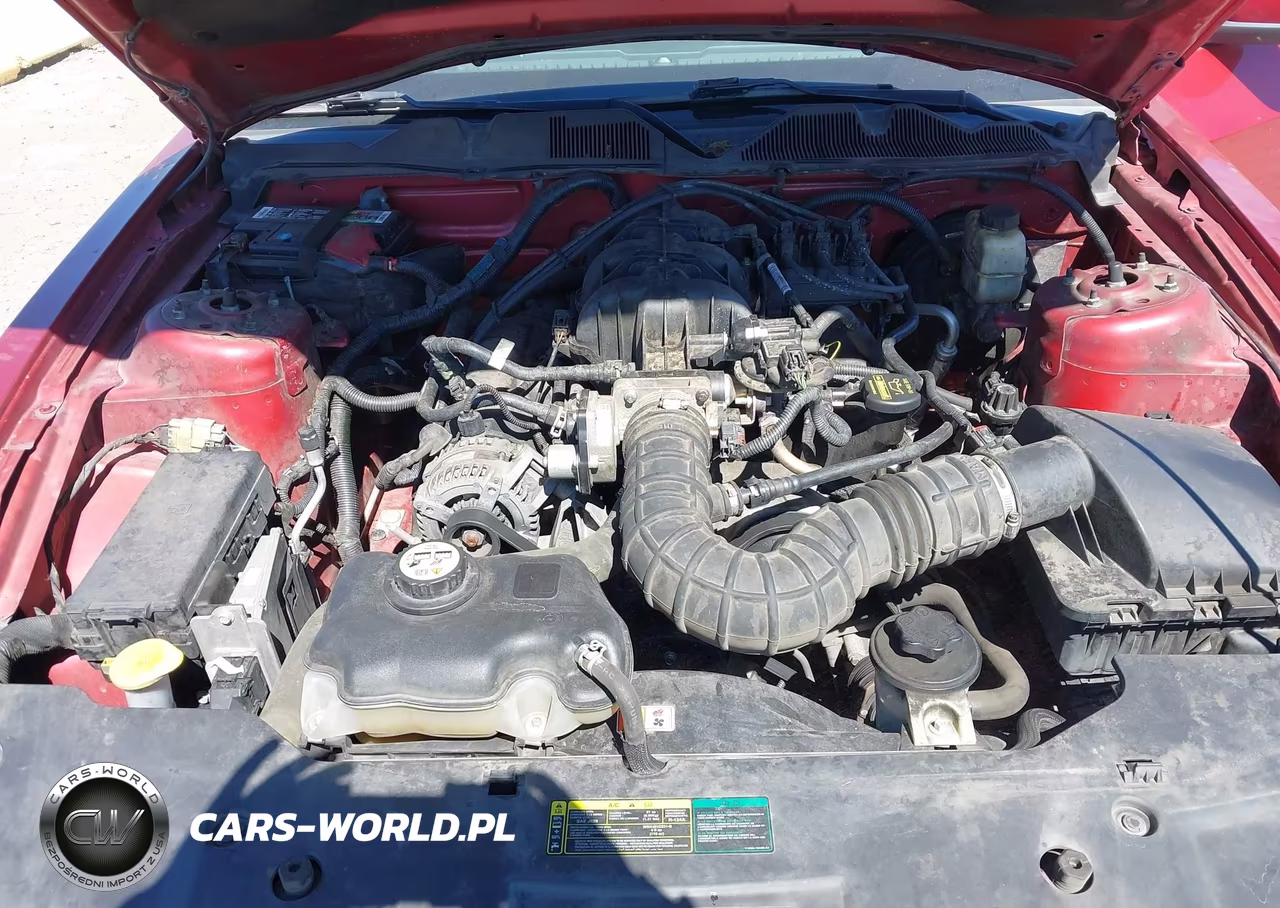 2010 Ford Mustang V6-V6 Premium VIN:1ZVBP8AN6A5104166 - 10