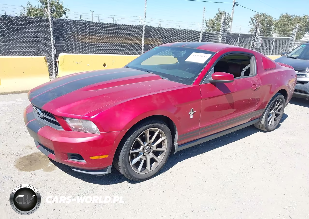 2010 Ford Mustang V6-V6 Premium VIN:1ZVBP8AN6A5104166 - 2