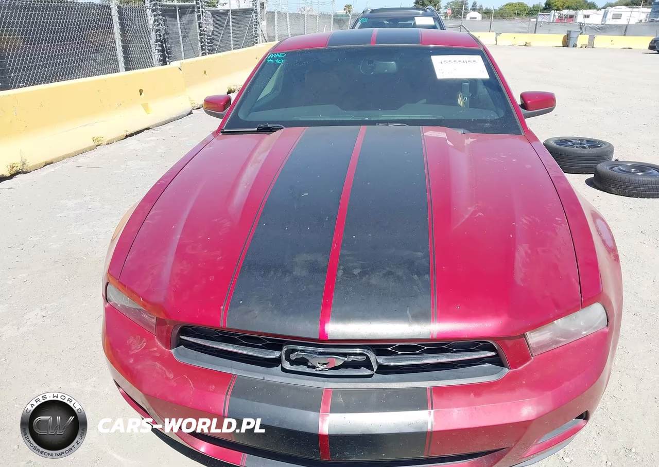 2010 Ford Mustang V6-V6 Premium VIN:1ZVBP8AN6A5104166 - 6