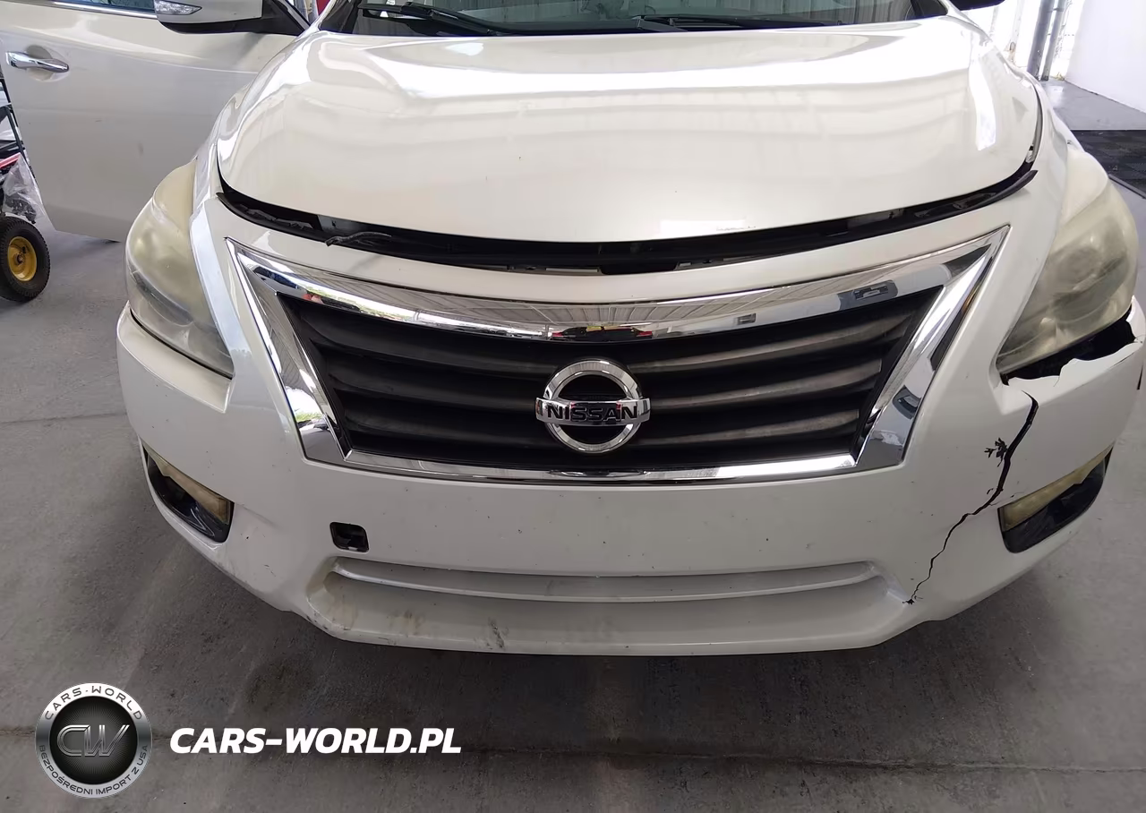 2013 Nissan Altima 2.5 Sv VIN:1N4AL3AP1DC195903 - 12