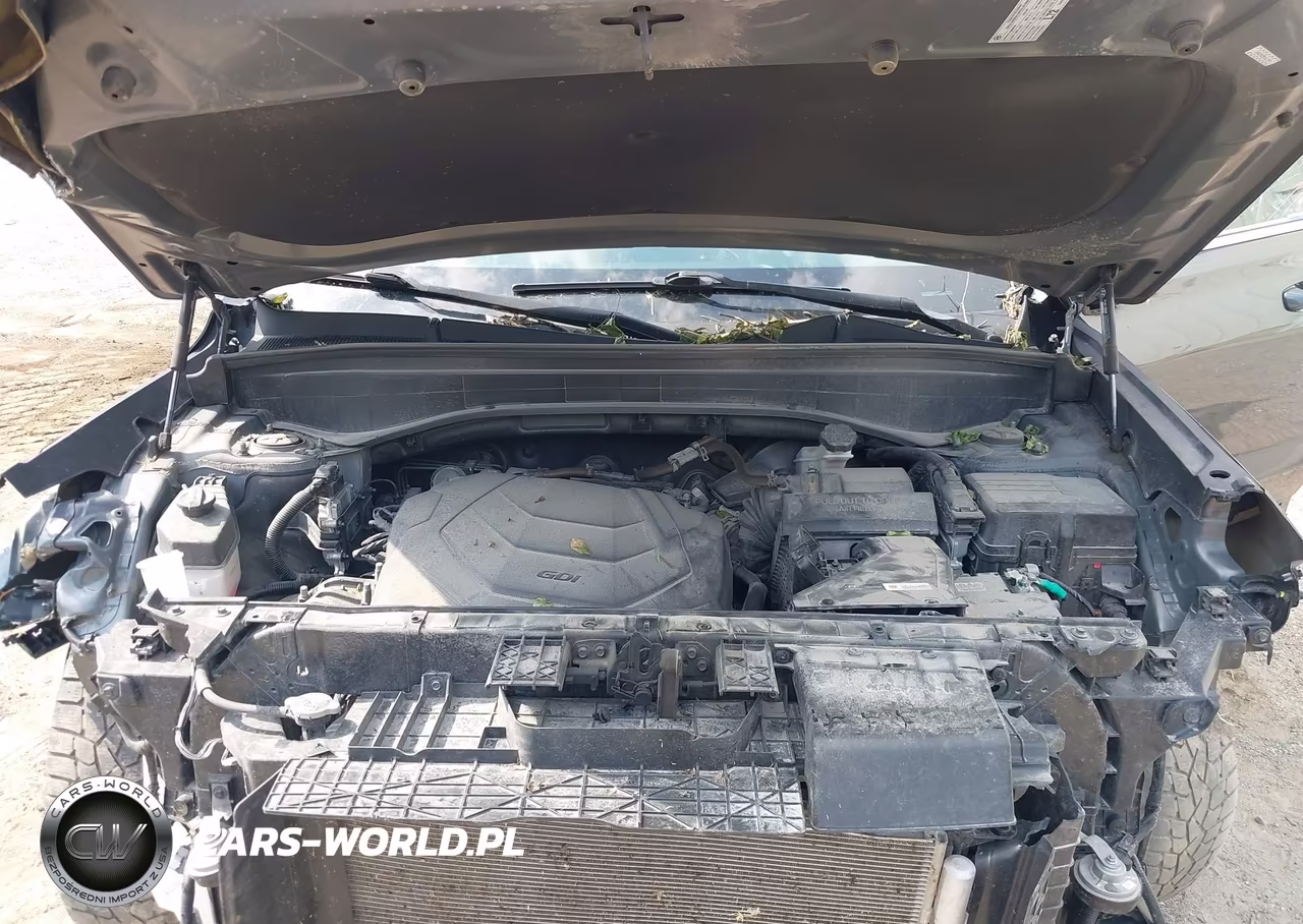 2023 Hyundai Palisade Xrt VIN:KM8R3DGE8PU617975 - 10