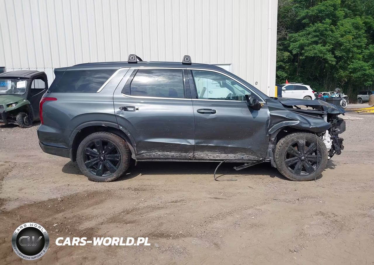 2023 Hyundai Palisade Xrt VIN:KM8R3DGE8PU617975 - 13