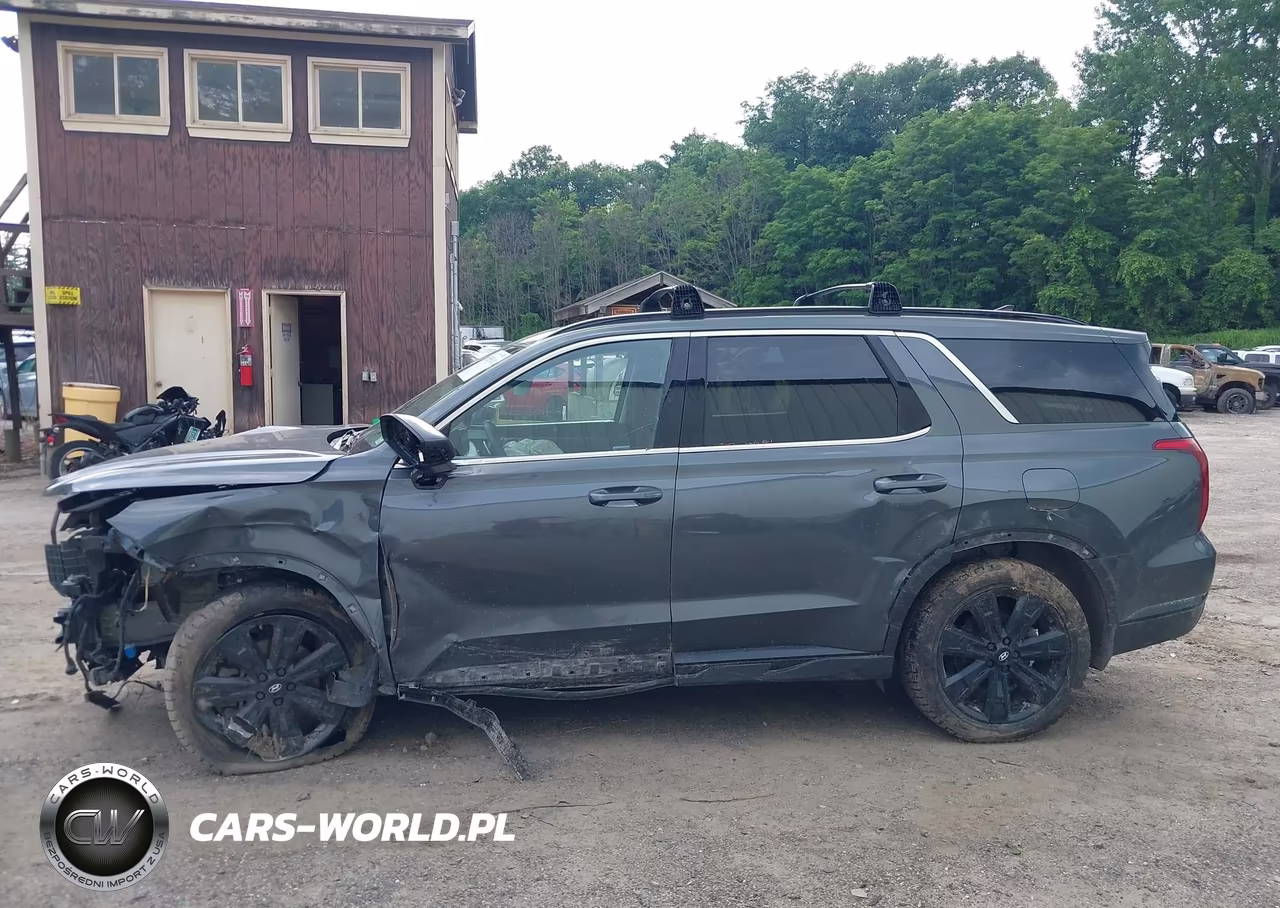 2023 Hyundai Palisade Xrt VIN:KM8R3DGE8PU617975 - 14