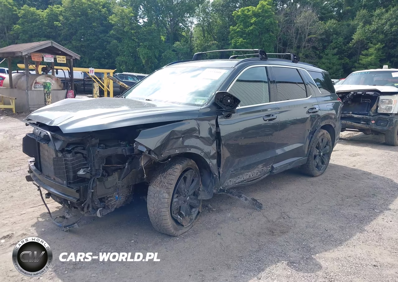 2023 Hyundai Palisade Xrt VIN:KM8R3DGE8PU617975 - 2