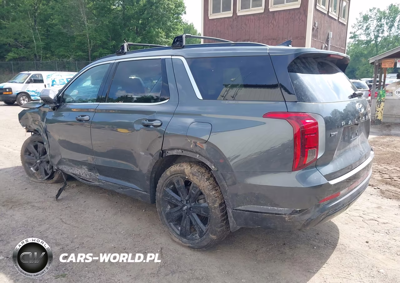 2023 Hyundai Palisade Xrt VIN:KM8R3DGE8PU617975 - 3