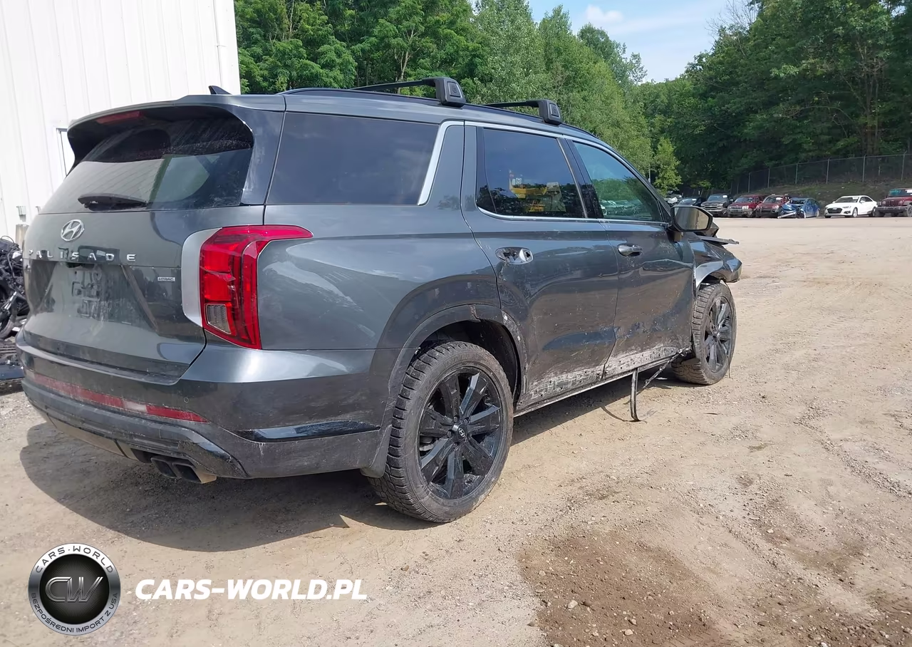 2023 Hyundai Palisade Xrt VIN:KM8R3DGE8PU617975 - 4