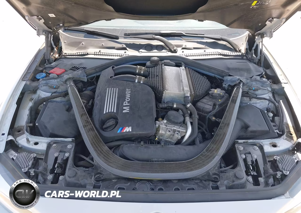 2020 BMW M2 Cs VIN:WBS1J3C03L7H33360 - 10