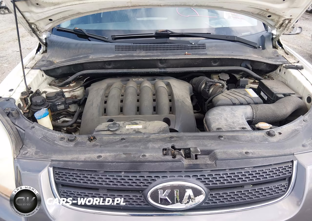 2007 Kia Sportage Lx V6 VIN:KNDJE723877367882 - 10
