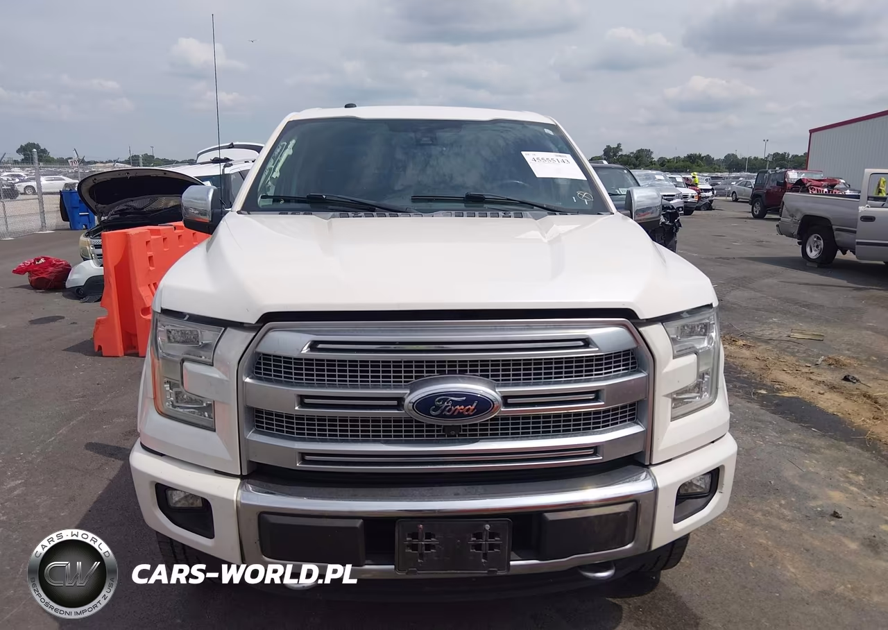 2016 Ford F-150 Platinum VIN:1FTEW1EG7GFB43907 - 13