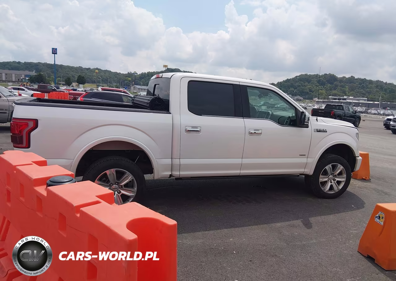 2016 Ford F-150 Platinum VIN:1FTEW1EG7GFB43907 - 14