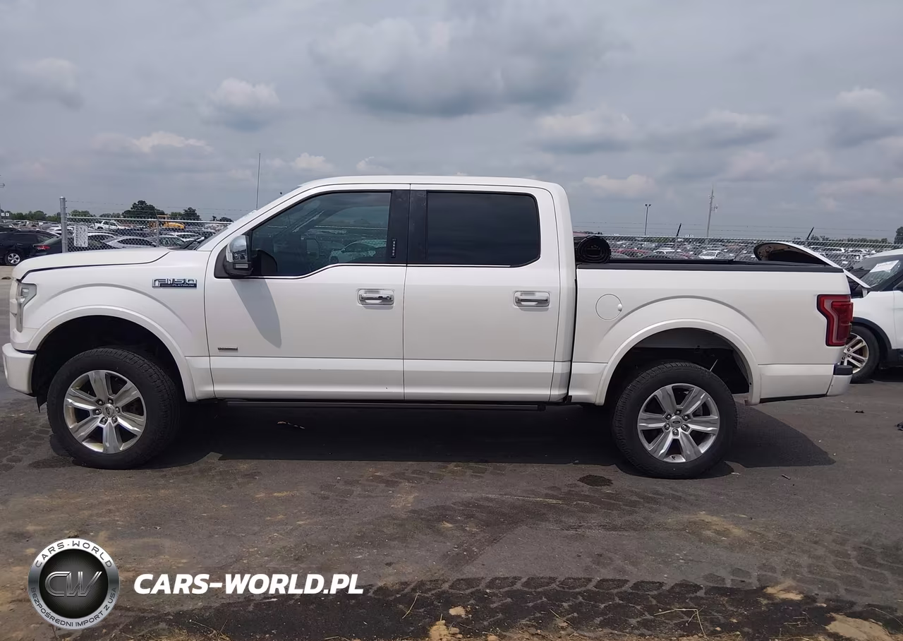 2016 Ford F-150 Platinum VIN:1FTEW1EG7GFB43907 - 15