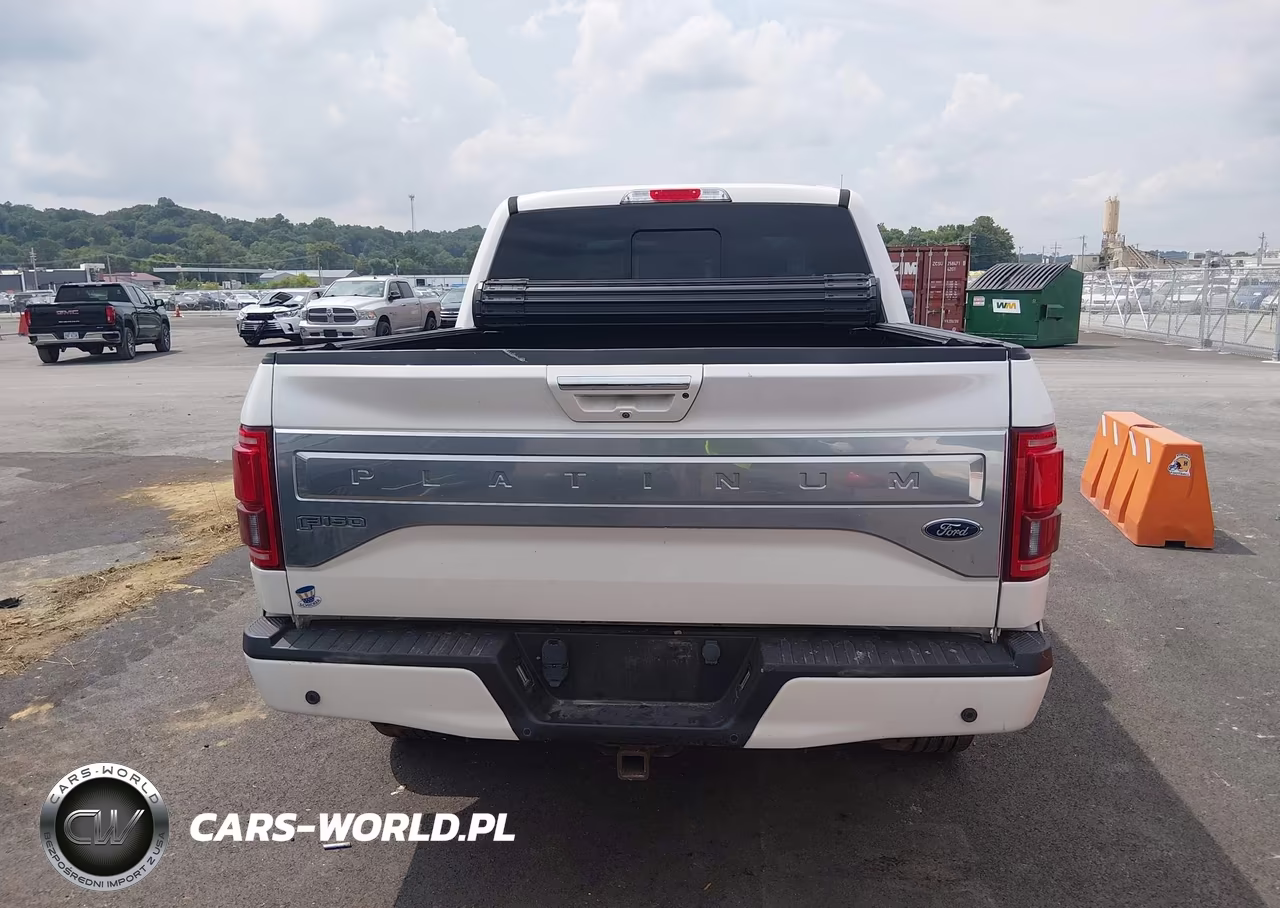 2016 Ford F-150 Platinum VIN:1FTEW1EG7GFB43907 - 17