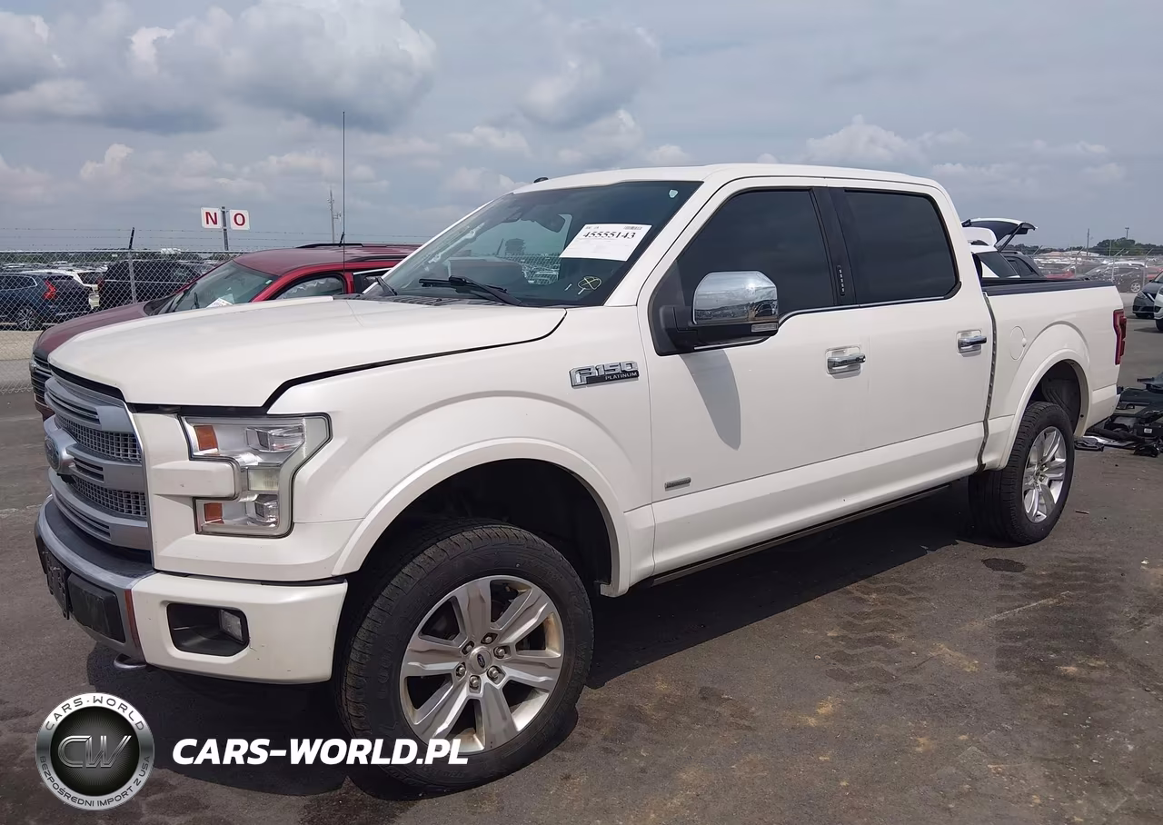 2016 Ford F-150 Platinum VIN:1FTEW1EG7GFB43907 - 2