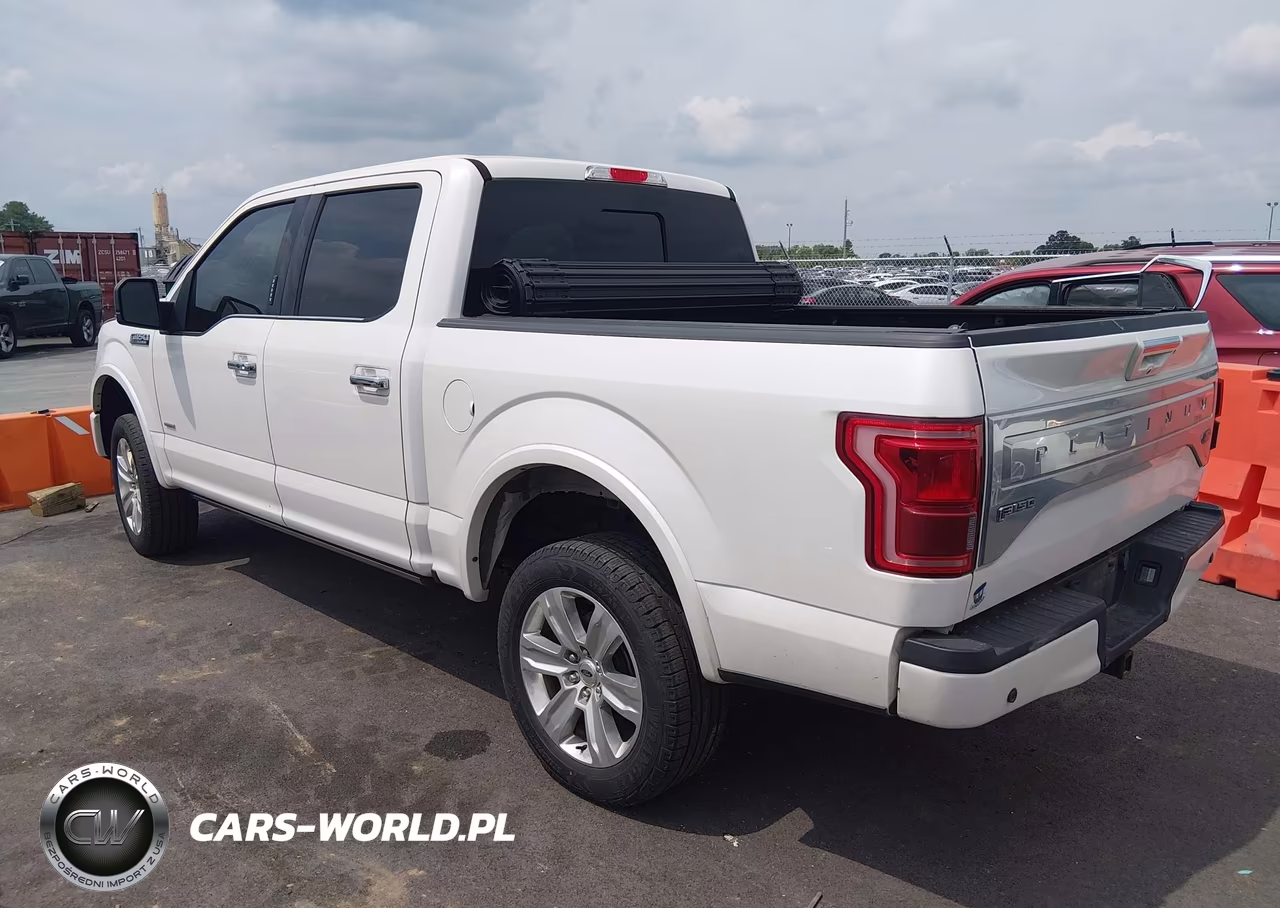 2016 Ford F-150 Platinum VIN:1FTEW1EG7GFB43907 - 3