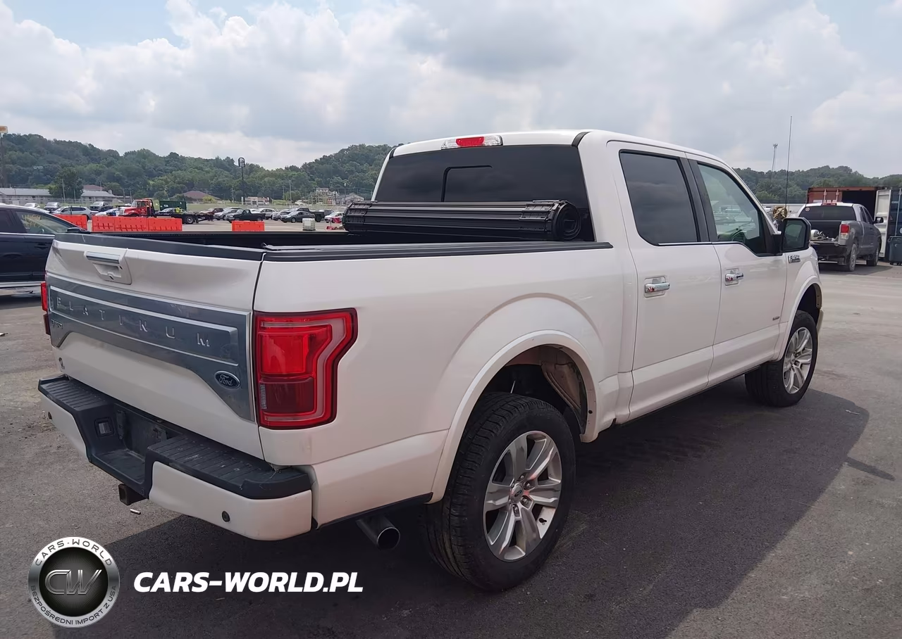 2016 Ford F-150 Platinum VIN:1FTEW1EG7GFB43907 - 4