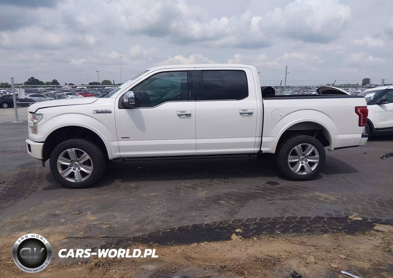2016 Ford F-150 Platinum VIN:1FTEW1EG7GFB43907 - 6