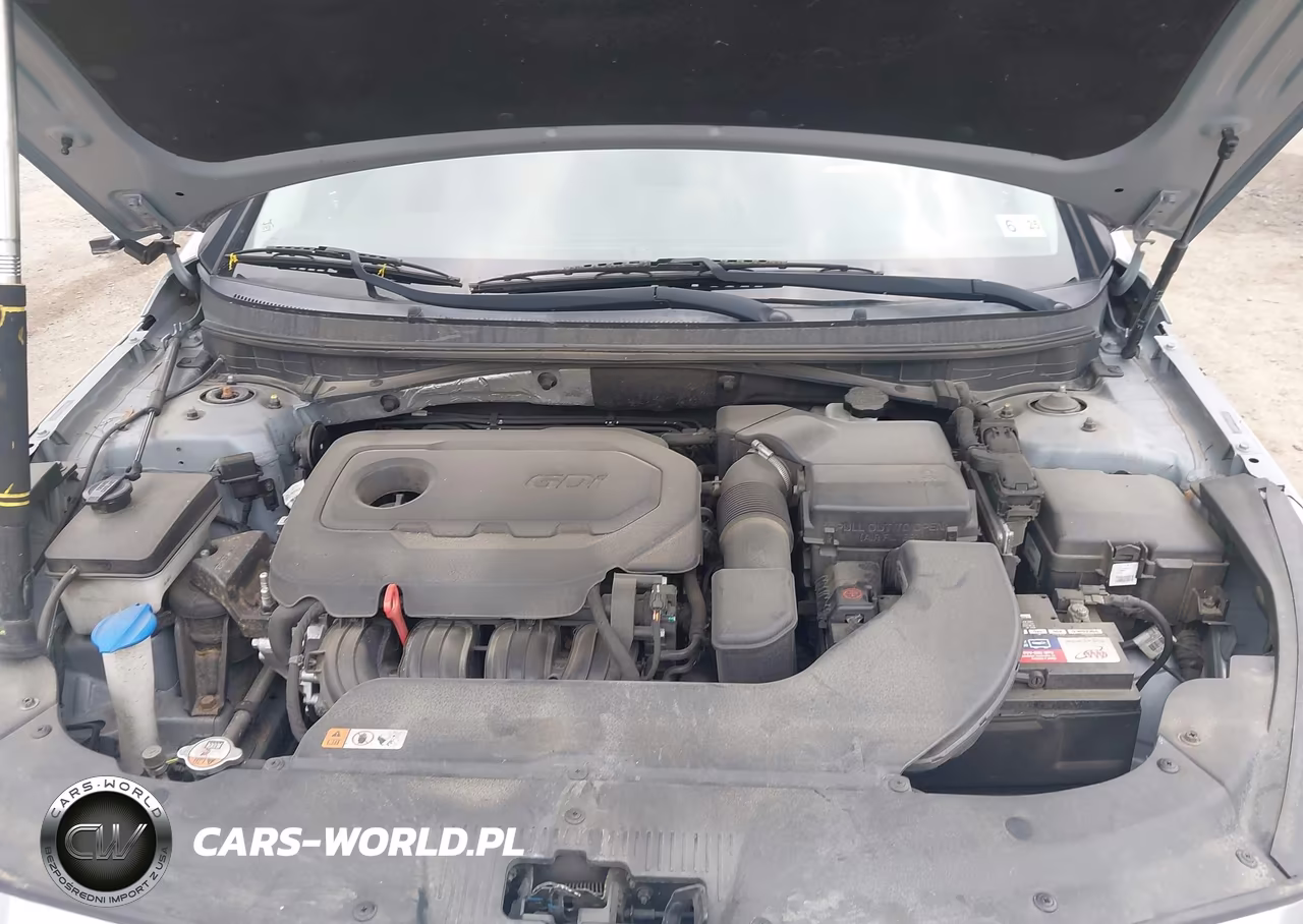 2015 Hyundai Sonata Sport VIN:5NPE34AF4FH242082 - 10