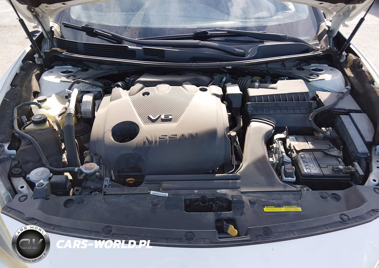 2016 Nissan Maxima 3.5 Sv VIN:1N4AA6APXGC901830 - 10