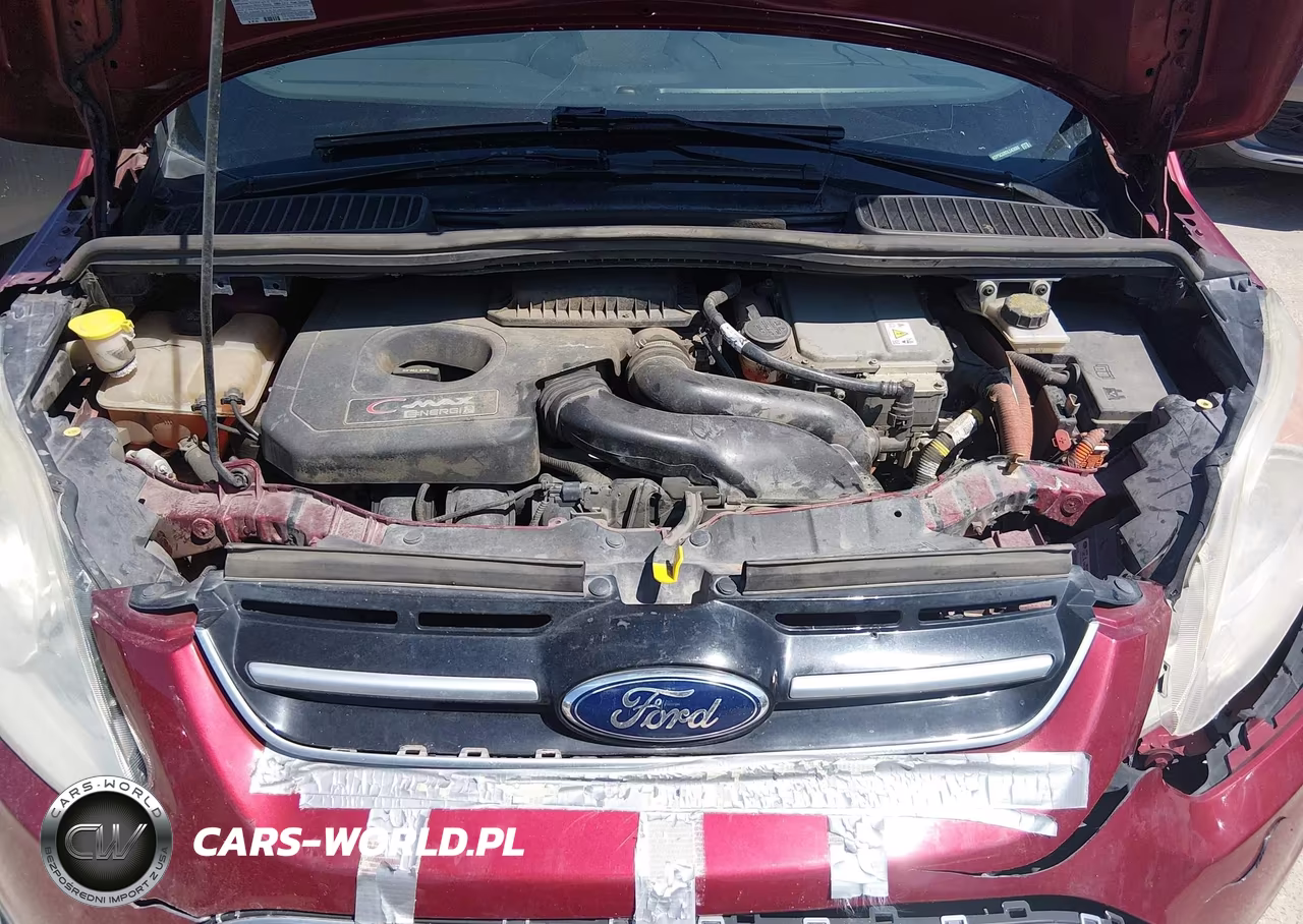 2013 Ford C-Max Energi Sel VIN:1FADP5CU8DL543888 - 10