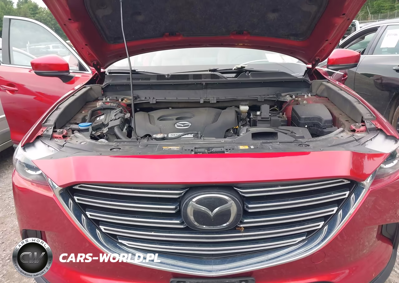 2020 Mazda Cx-9 Touring VIN:JM3TCBCY4L0419899 - 10