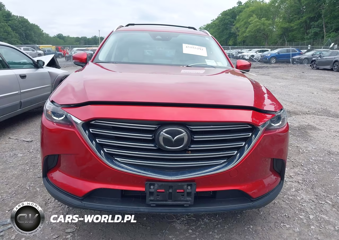 2020 Mazda Cx-9 Touring VIN:JM3TCBCY4L0419899 - 12