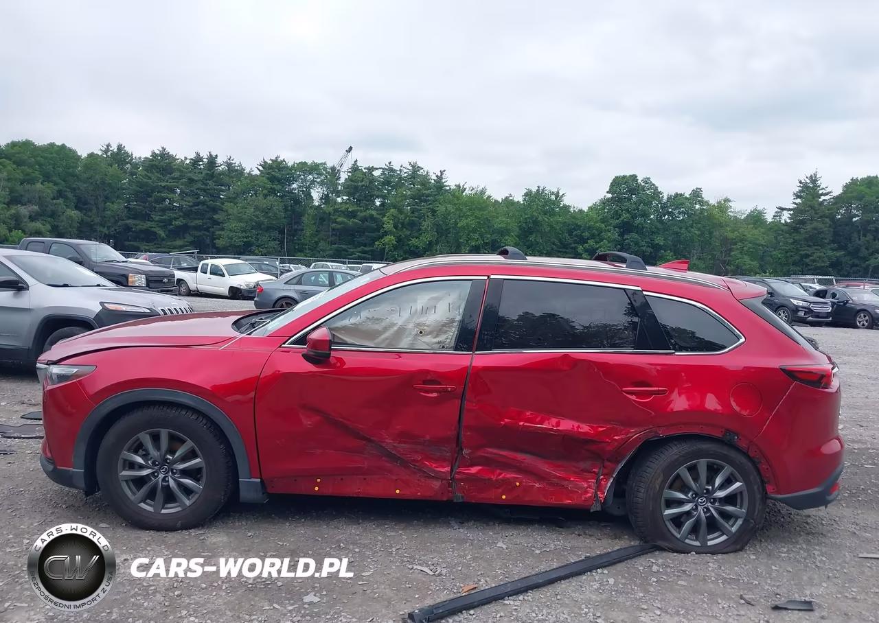 2020 Mazda Cx-9 Touring VIN:JM3TCBCY4L0419899 - 14