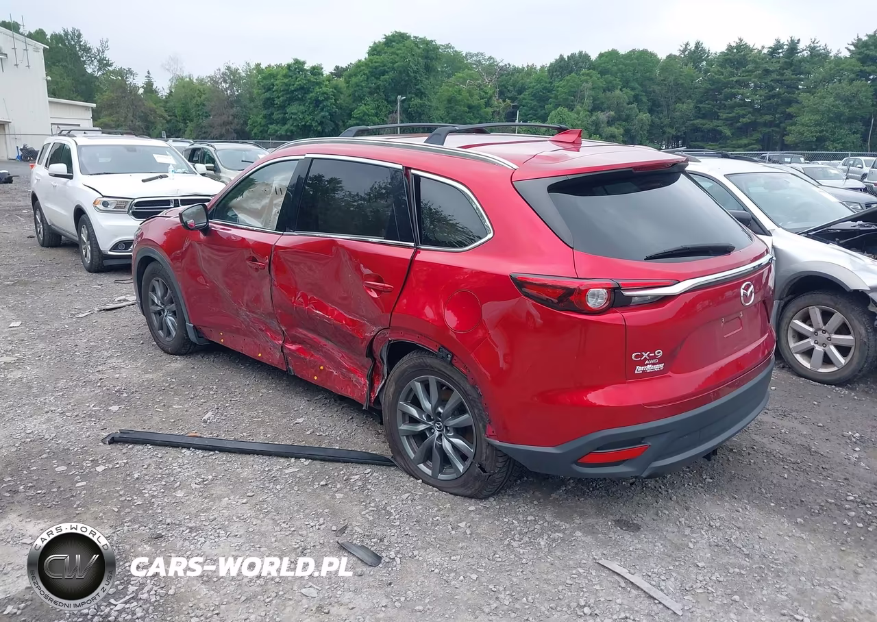 2020 Mazda Cx-9 Touring VIN:JM3TCBCY4L0419899 - 3