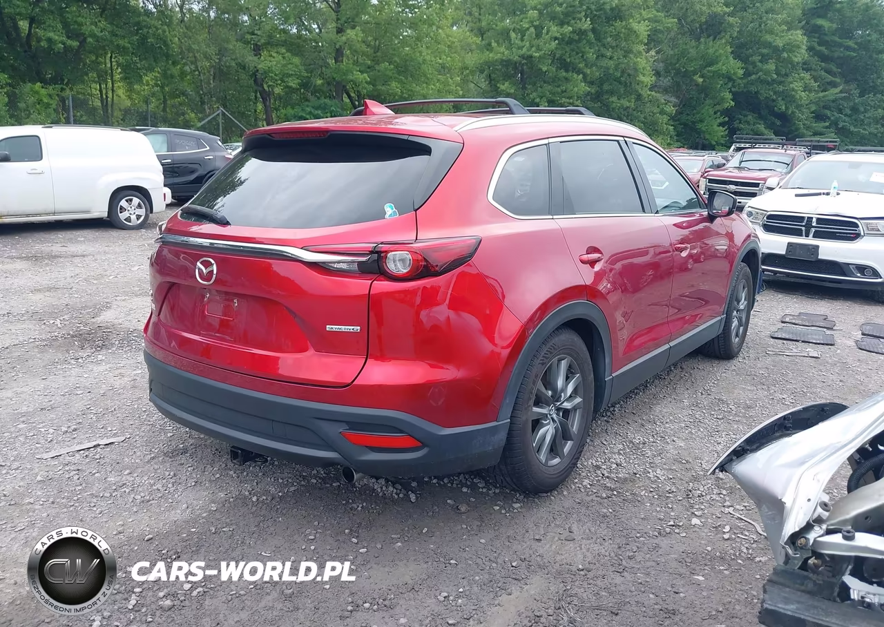 2020 Mazda Cx-9 Touring VIN:JM3TCBCY4L0419899 - 4