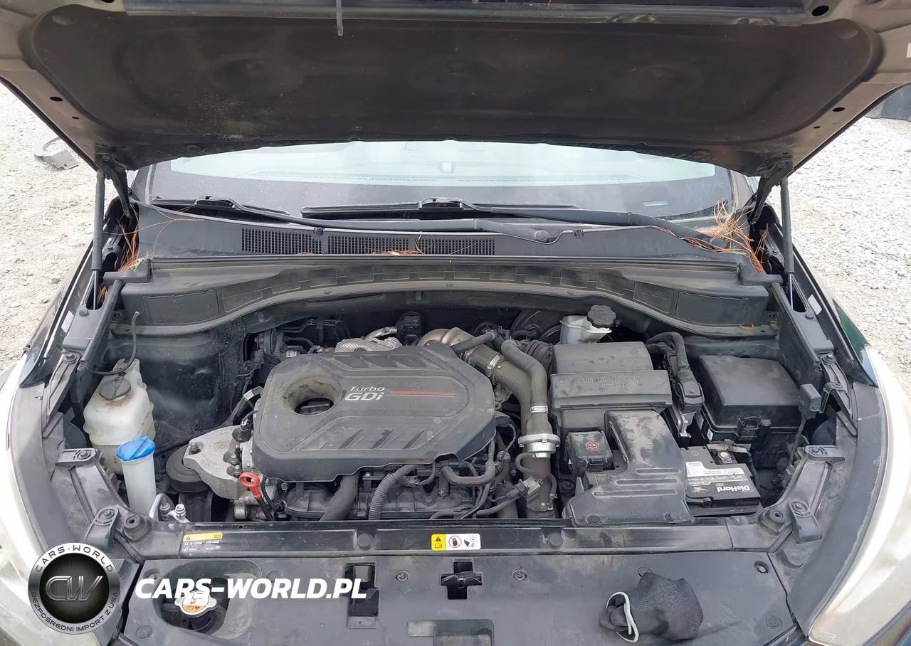 2017 Hyundai Santa Fe Sport 2.0T VIN:5XYZU3LA0HG380013 - 10