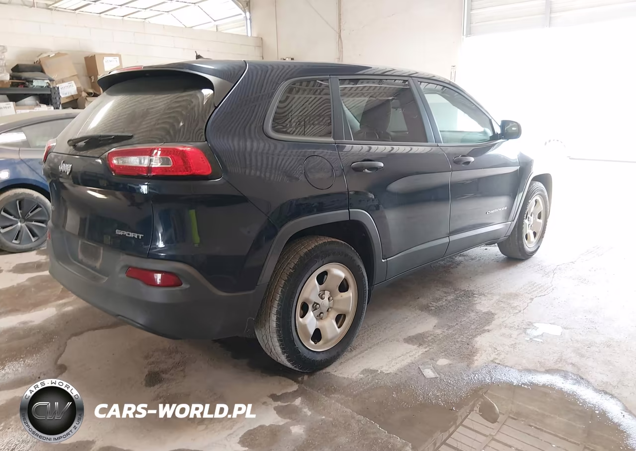 2016 Jeep Cherokee Sport VIN:1C4PJMAB8GW313906 - 4