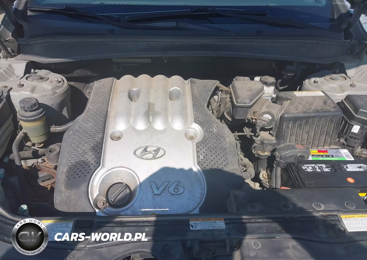 2007 Hyundai Santa Fe Gls VIN:5NMSG13DX7H063657 - 10