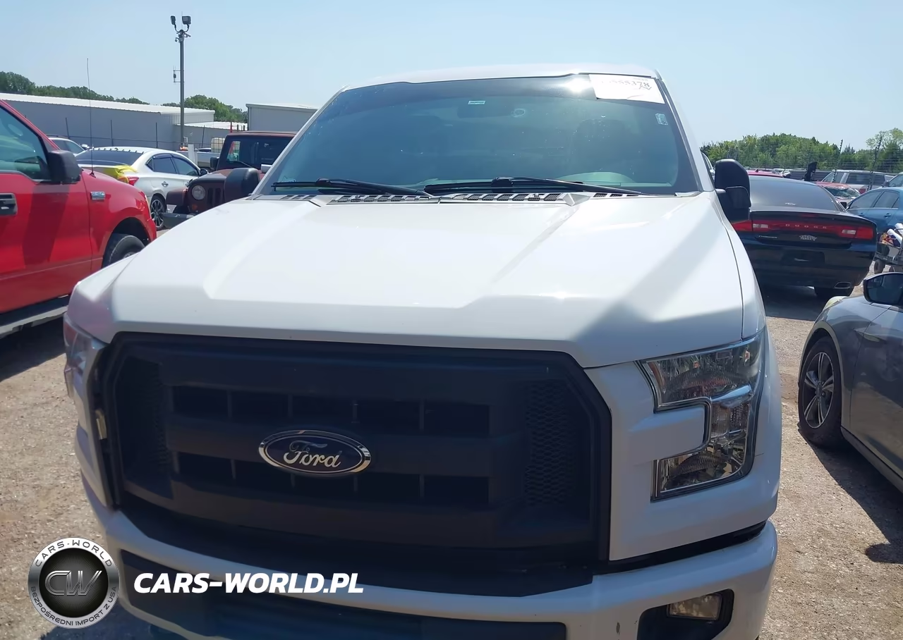 2017 Ford F-150 Xl-Xlt VIN:1FTMF1EP1HKD07866 - 11