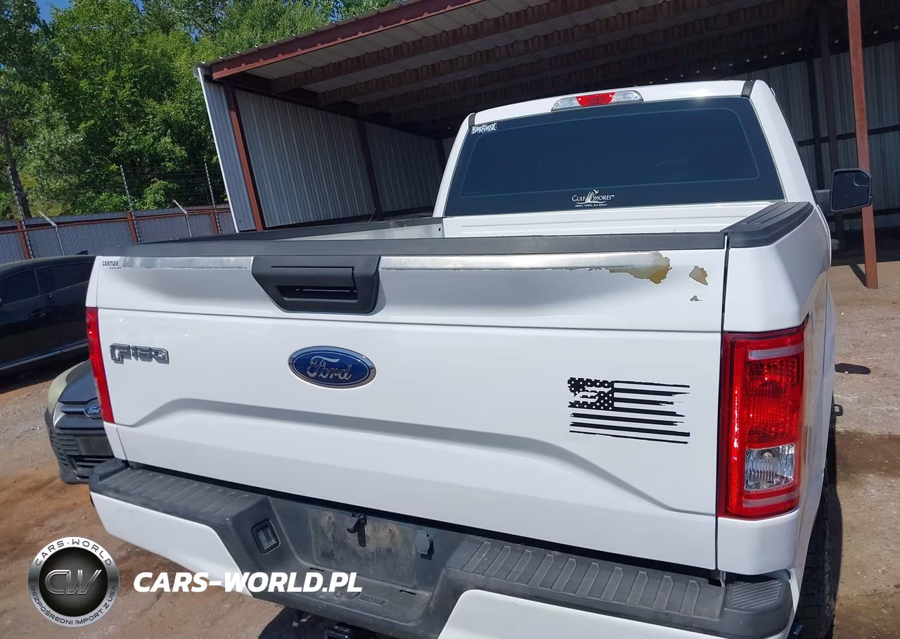 2017 Ford F-150 Xl-Xlt VIN:1FTMF1EP1HKD07866 - 15