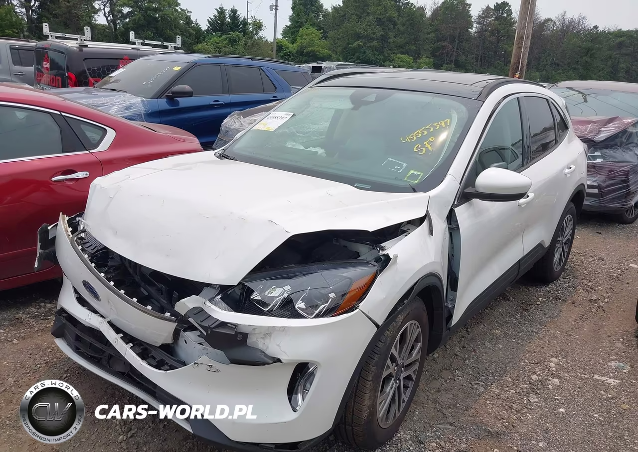 2021 Ford Escape Sel VIN:1FMCU9H96MUA05495 - 2