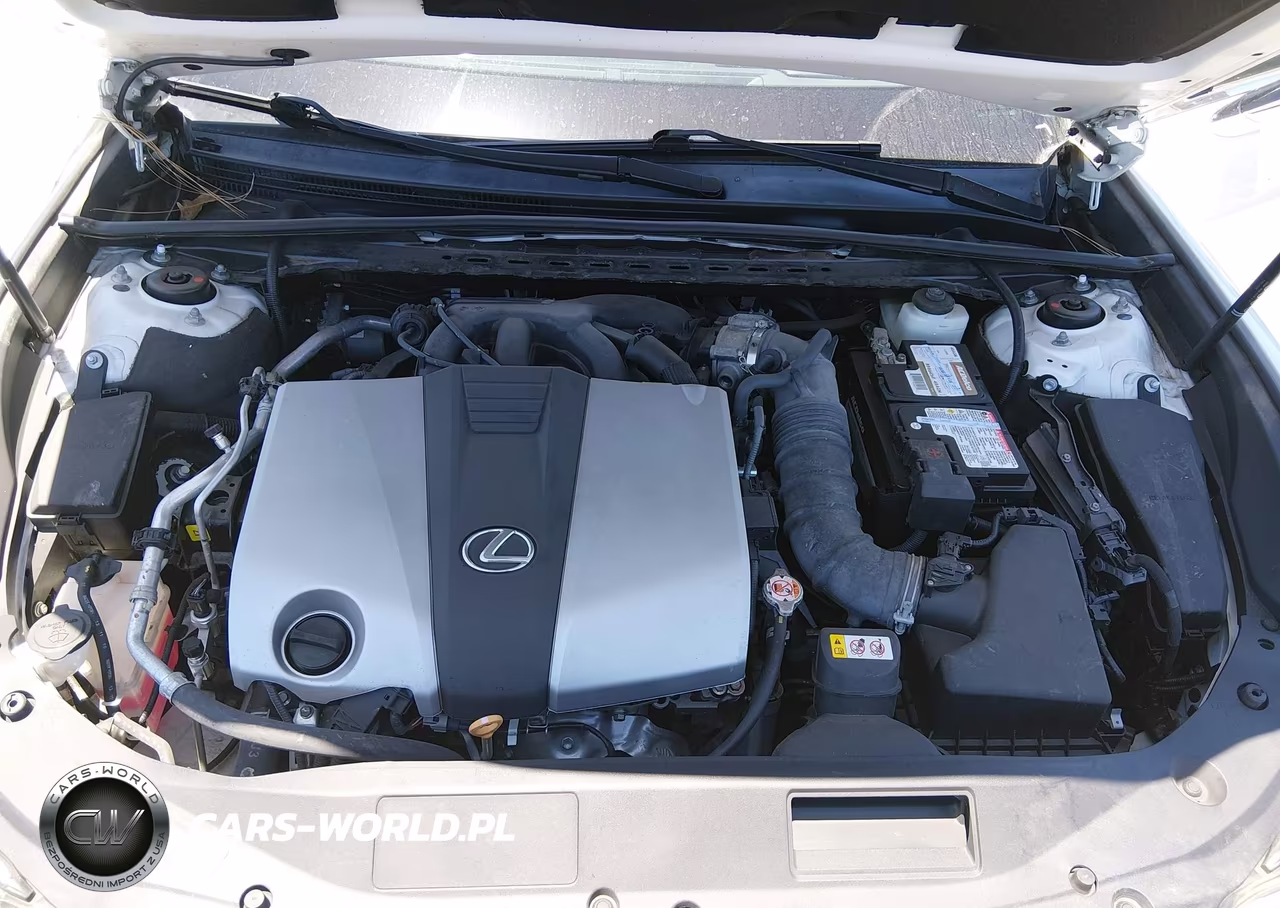 2020 Lexus Es 350 VIN:58ADZ1B11LU070272 - 10