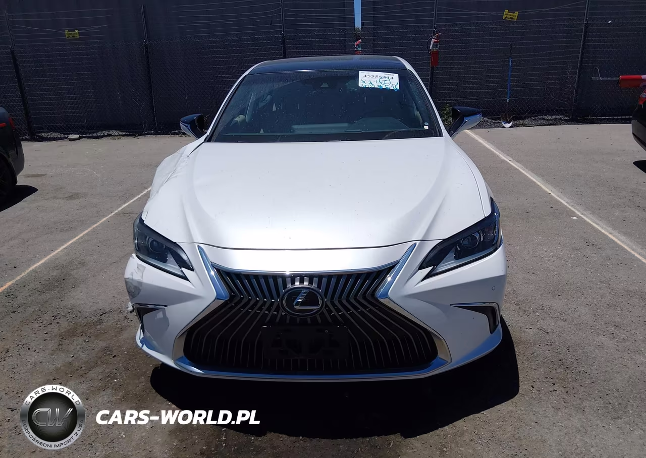 2020 Lexus Es 350 VIN:58ADZ1B11LU070272 - 13
