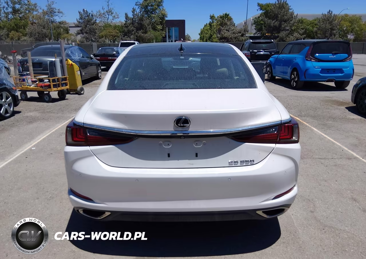 2020 Lexus Es 350 VIN:58ADZ1B11LU070272 - 17
