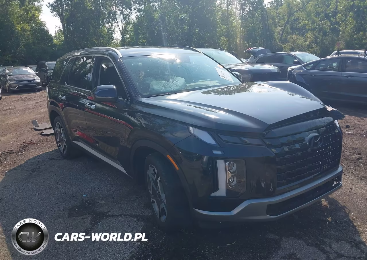 2024 Hyundai Palisade Sel VIN:KM8R4DGE9RU704591 - 1