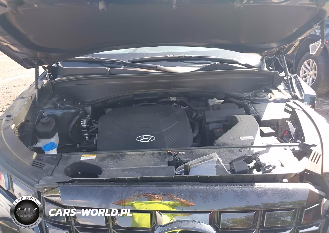 2024 Hyundai Palisade Sel VIN:KM8R4DGE9RU704591 - 10