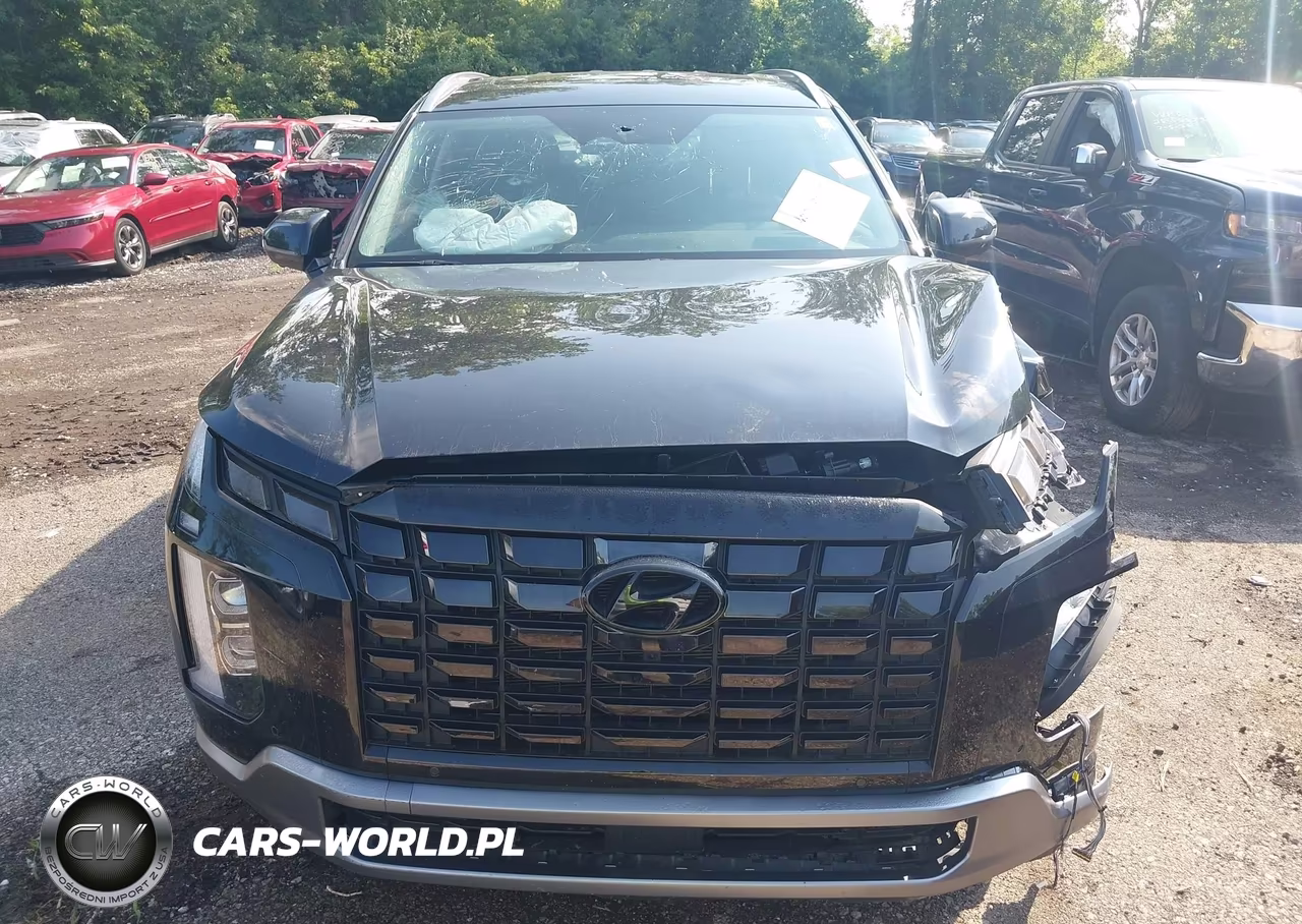 2024 Hyundai Palisade Sel VIN:KM8R4DGE9RU704591 - 12