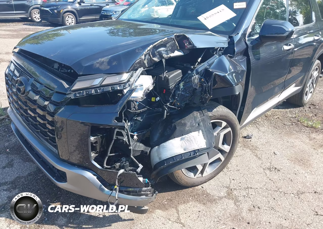 2024 Hyundai Palisade Sel VIN:KM8R4DGE9RU704591 - 6