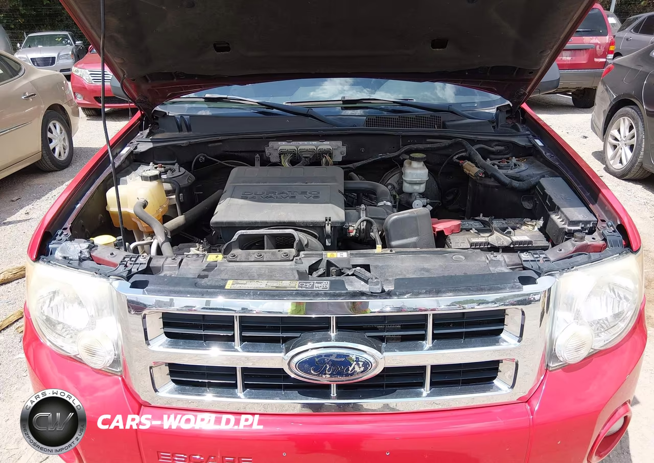 2009 Ford Escape Xlt VIN:1FMCU03G59KA66034 - 10